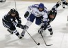 开云体育网页入口-马克·杰克逊被评为本赛季最佳教练，最强教练杰克逊